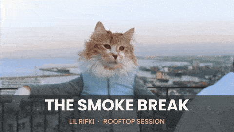 Lil Rıfkı takes the rooftop — the finished video. (Open this document in Google Docs to watch it play.)