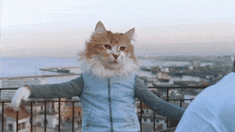 SEEDANCE 2.5 AI prompt result — The Smoke Break