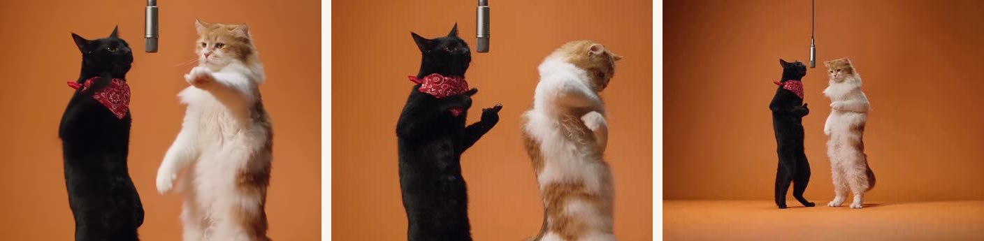 Medium duet, the paw break, the wide shot. Every one of these cuts, framings and poses comes from the reel — none of it is written in the prompt.