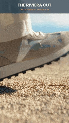 SEEDANCE 2.5 AI prompt result — The Riviera Cut