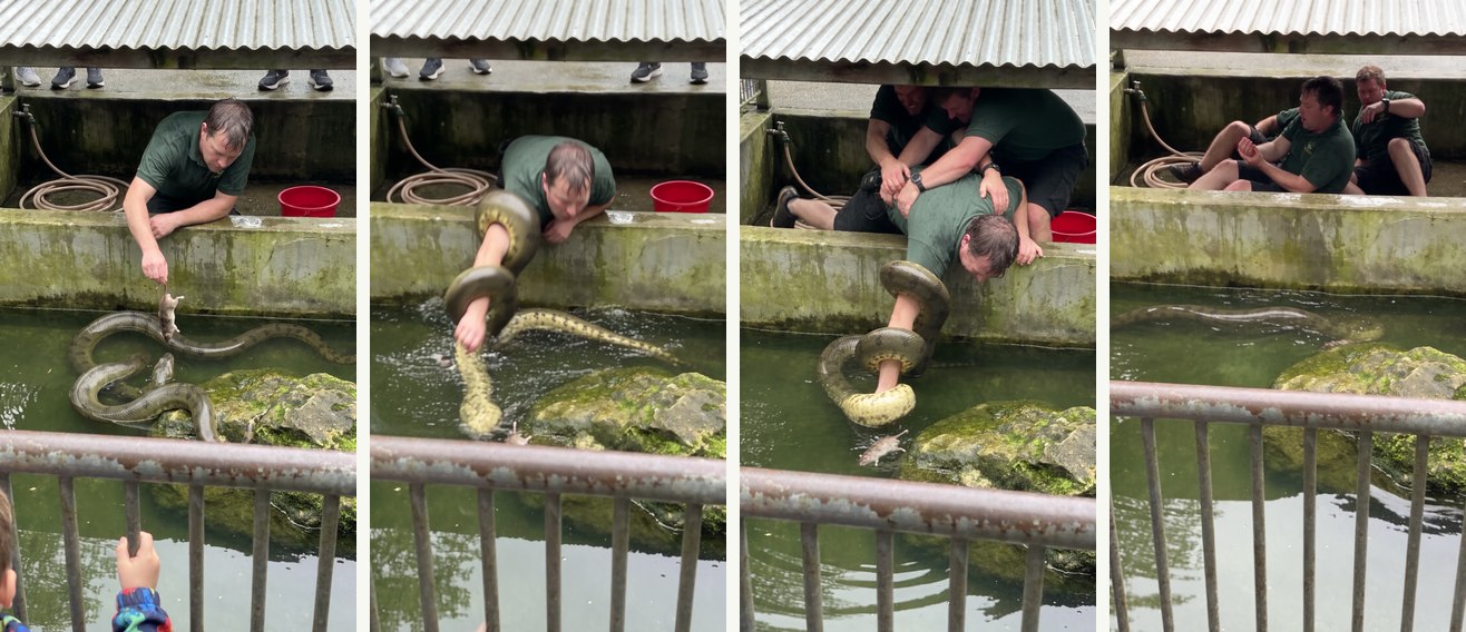 Four beats from the Seedance 2.5 render — bait at 1.5 s, strike at 3.9 s, rescue pile at 6.8 s, the keeper clutching his forearm at 10.8 s. Same wall, same bucket, same sneakers, same face.