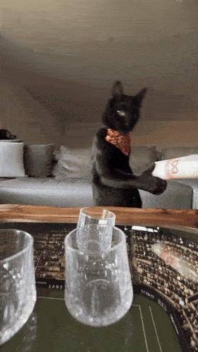 SEEDANCE 2.5 · REFERENCE-TO-VIDEO AI prompt result — Bottle Service