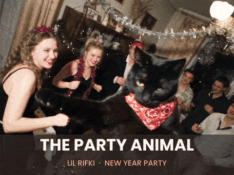 Lil Rıfkı takes over the New Year’s party — the finished video. (Open this document in Google Docs to watch it play.)