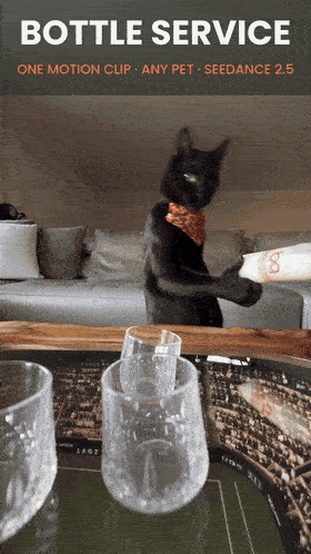 Bottle Service — the finished 27-second one-shot. (Open this document in Google Docs to watch it play.)