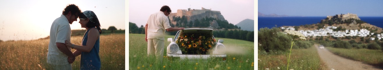 Three frames from the master: the spin settles (Shot 4), the bloom leaves the trunk (Shot 6), and the final rack focus finds the valley road.