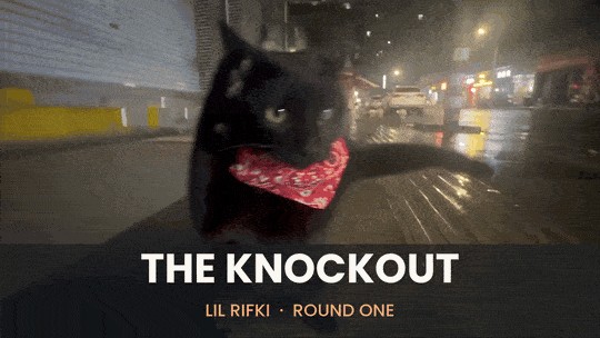 Seedance 2.5 AI prompt result — The Knockout