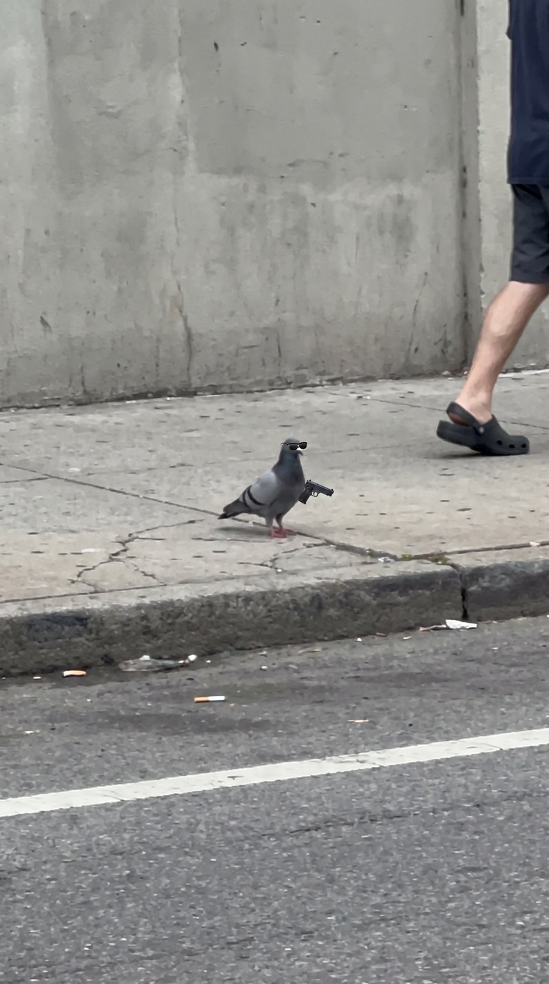Output — the Nano Banana Pro still: pigeon, Wayfarers, pistol in the right wing, passerby's legs exiting right. This exact file becomes @Image 1 in the next step.