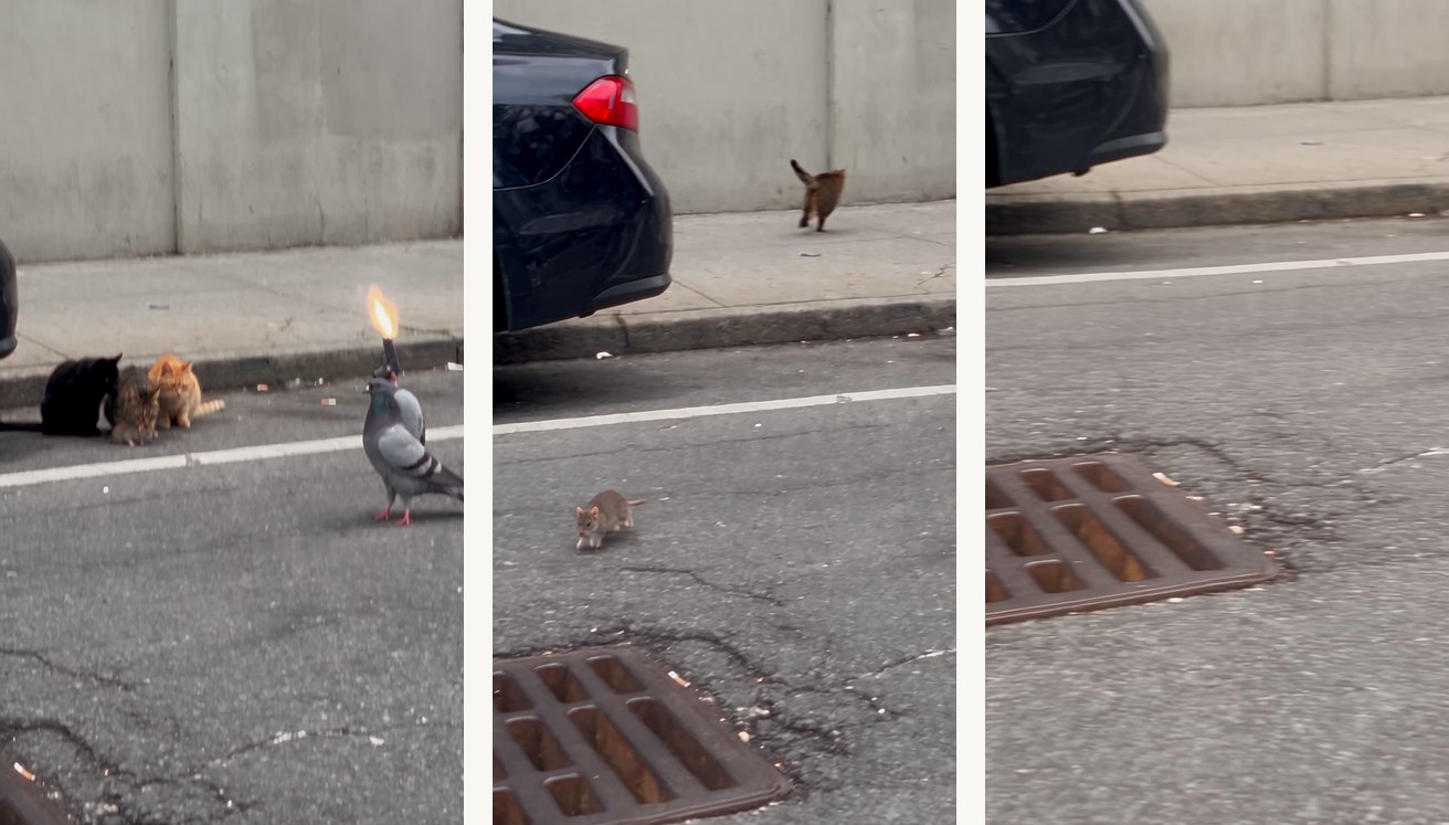 Checkpoints, the standoff — 6.0 s the pistol goes straight up and the muzzle flashes; 7.4 s the cats bolt with tails puffed while the mouse breaks for the curb; 8.5 s the mouse squeezes into the storm drain near the camera.